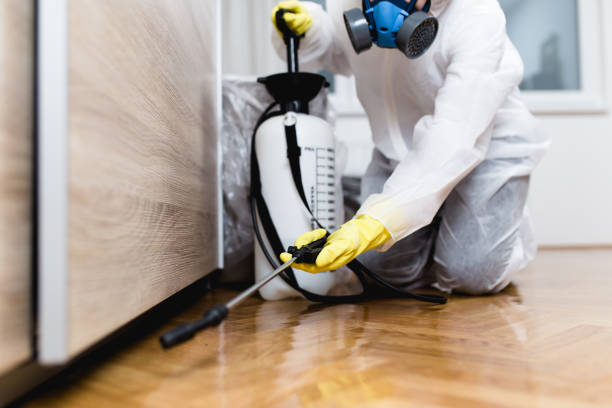 Best Mosquito Control Services  in Haverhill, FL