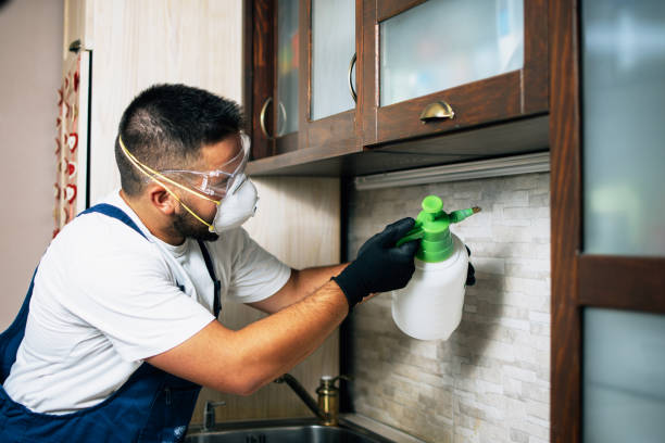 Best Local Pest Control Services  in Haverhill, FL
