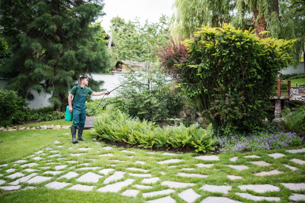 Reliable Haverhill, FL Pest Control Solutions