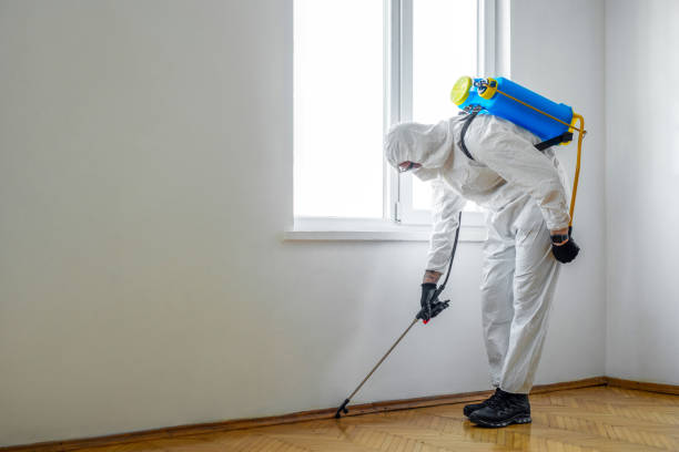 Best Pest Prevention Services  in Haverhill, FL