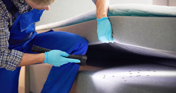 Best Local Pest Control Services  in Haverhill, FL